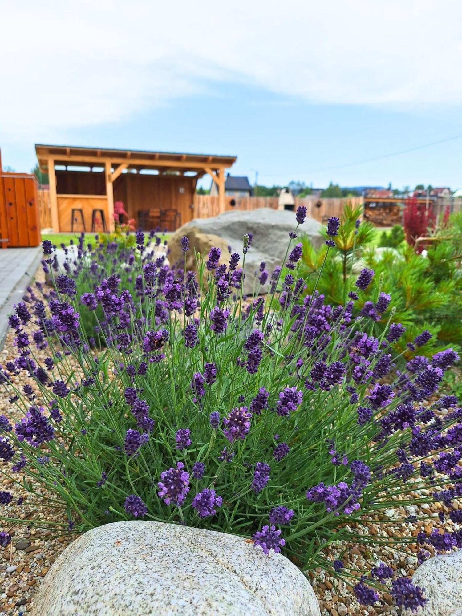 Szczyt Beztroski Jacuzzi & Sauna Chalet Nowy Targ